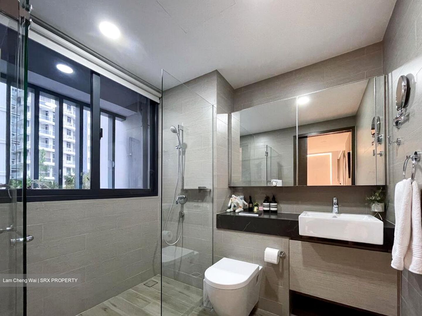 Amber Skye (D15), Apartment #545063251